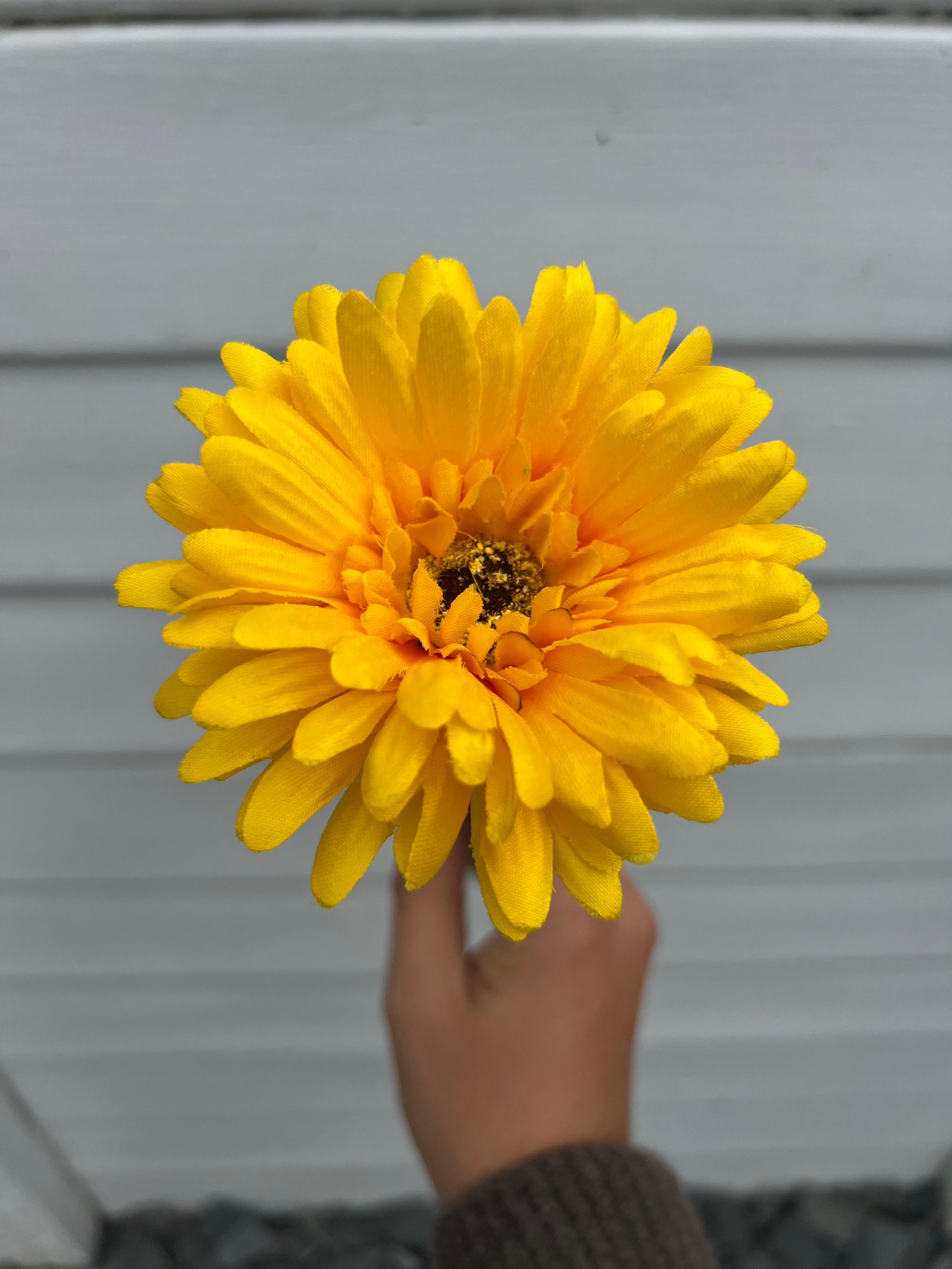 Single Stems