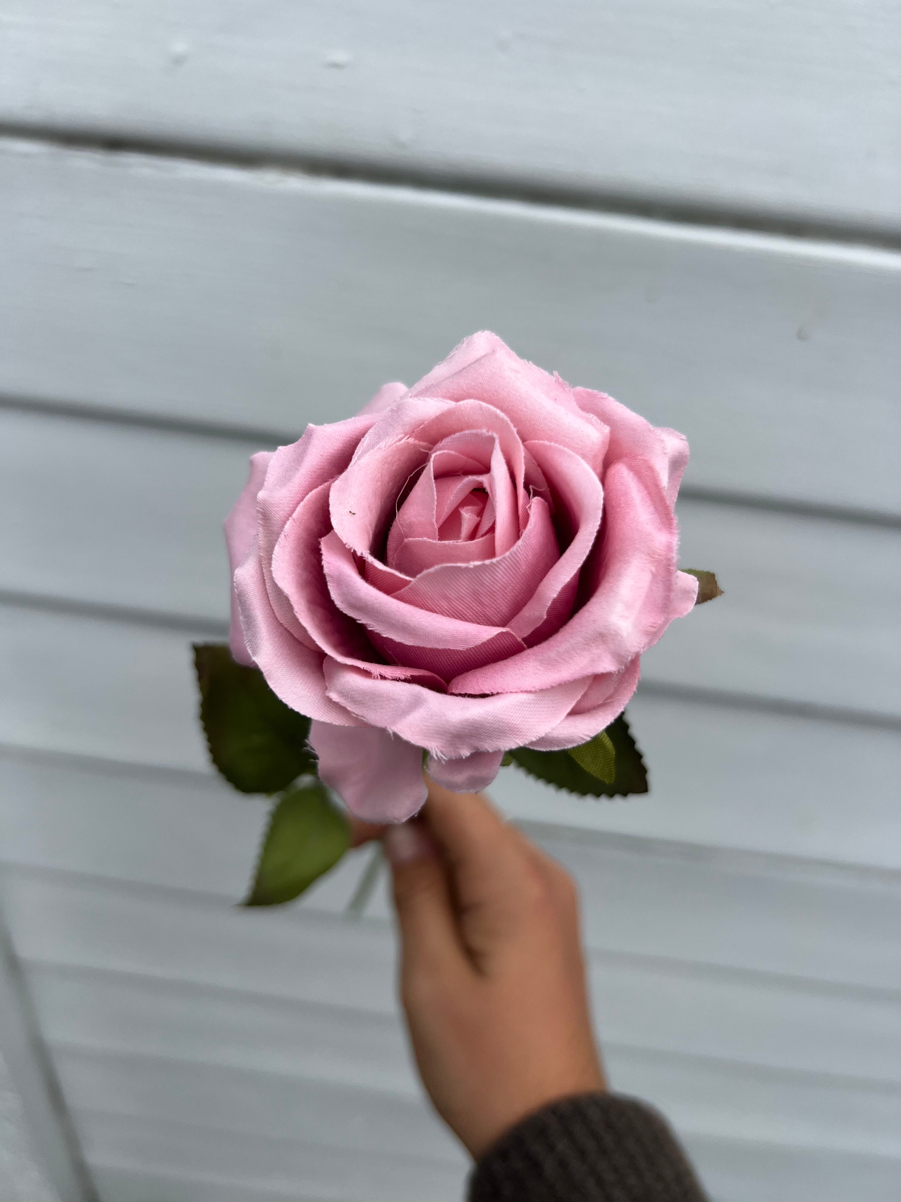 Single Stems