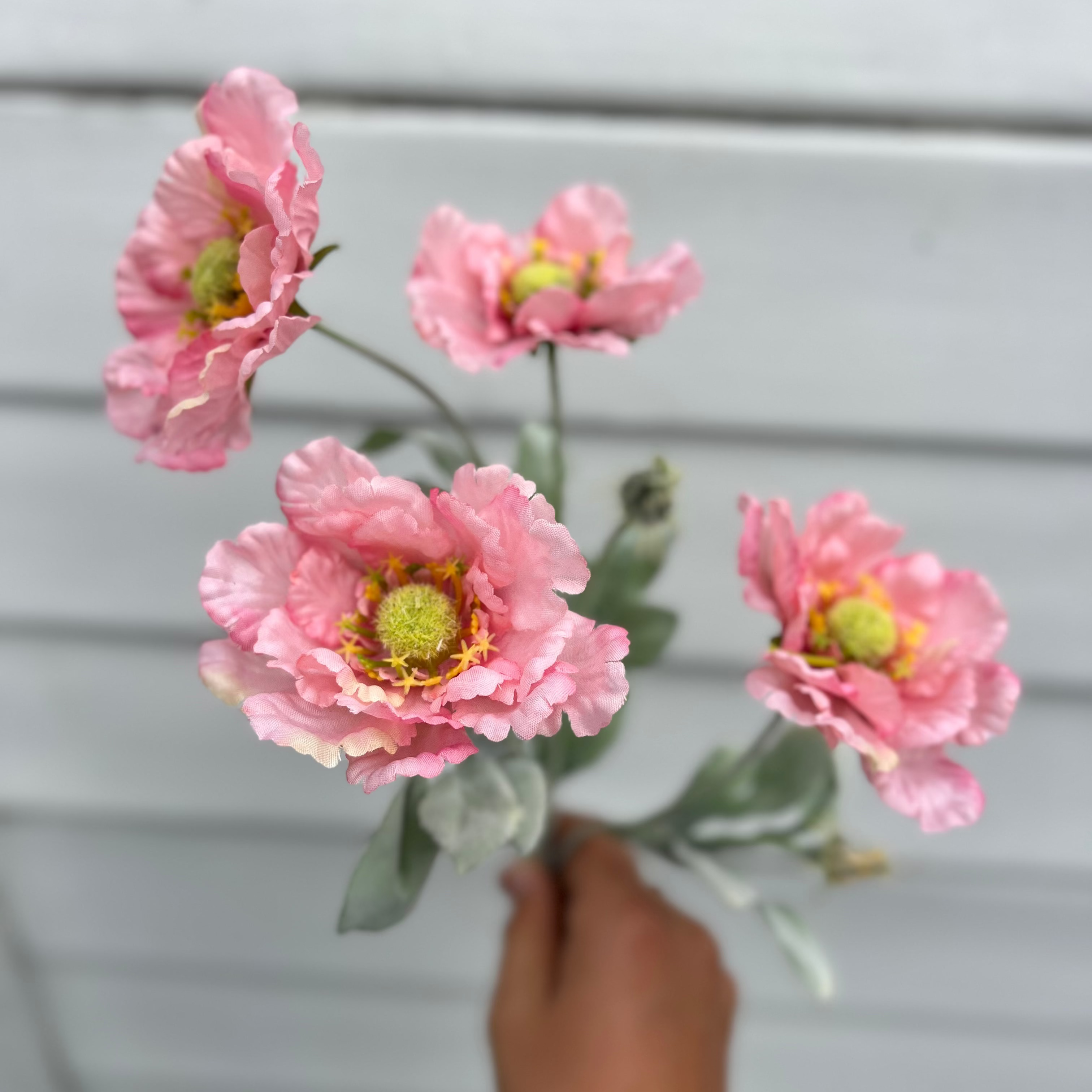 Single Stems
