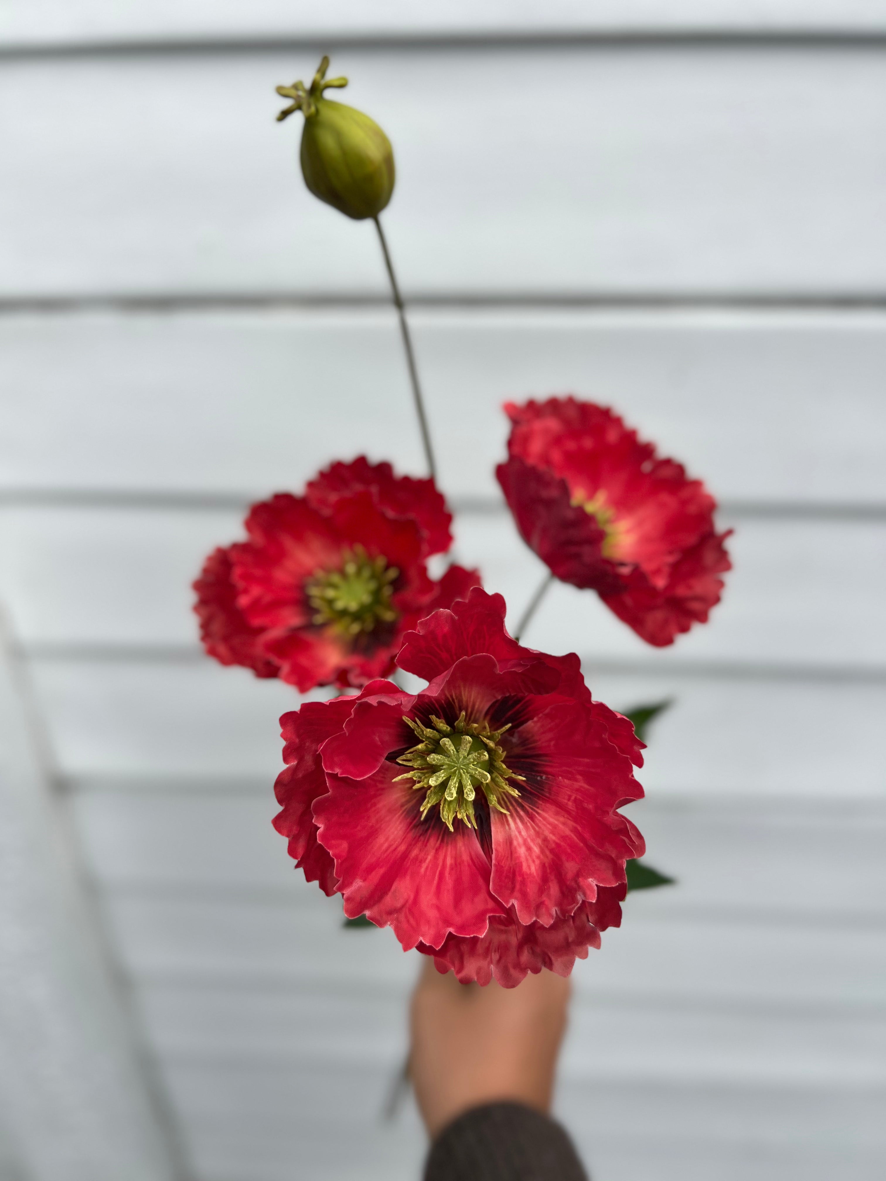 Single Stems