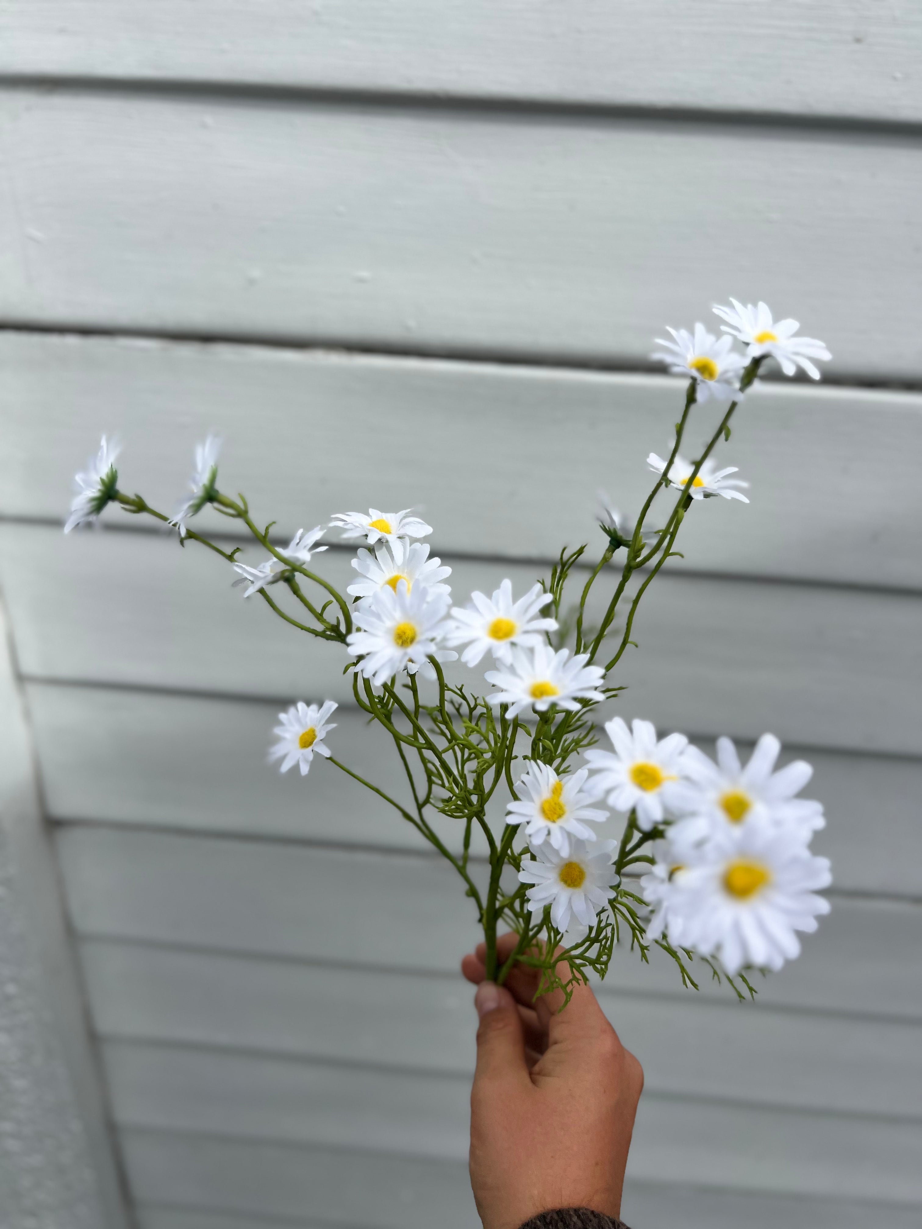 Single Stems