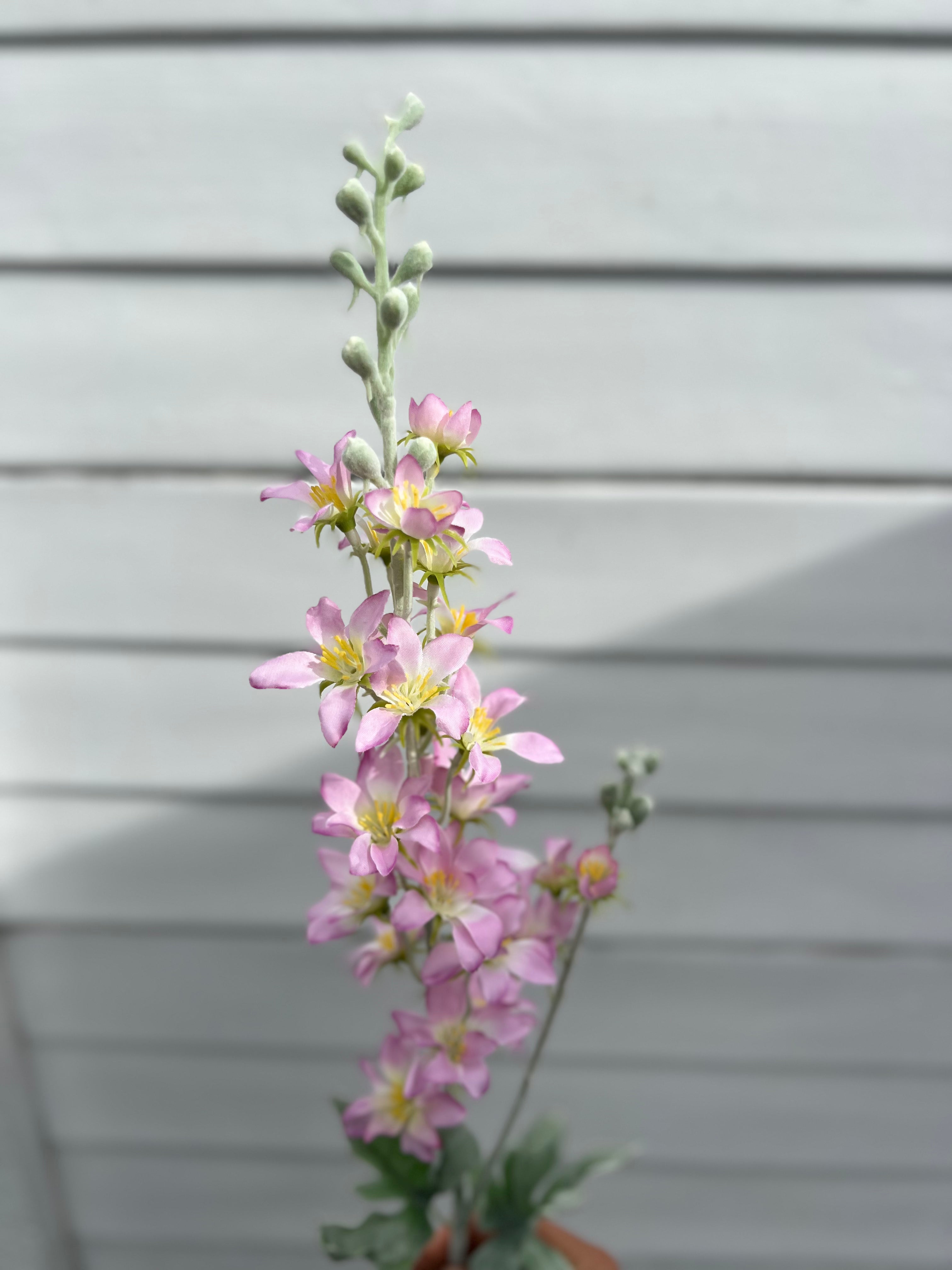 Single Stems