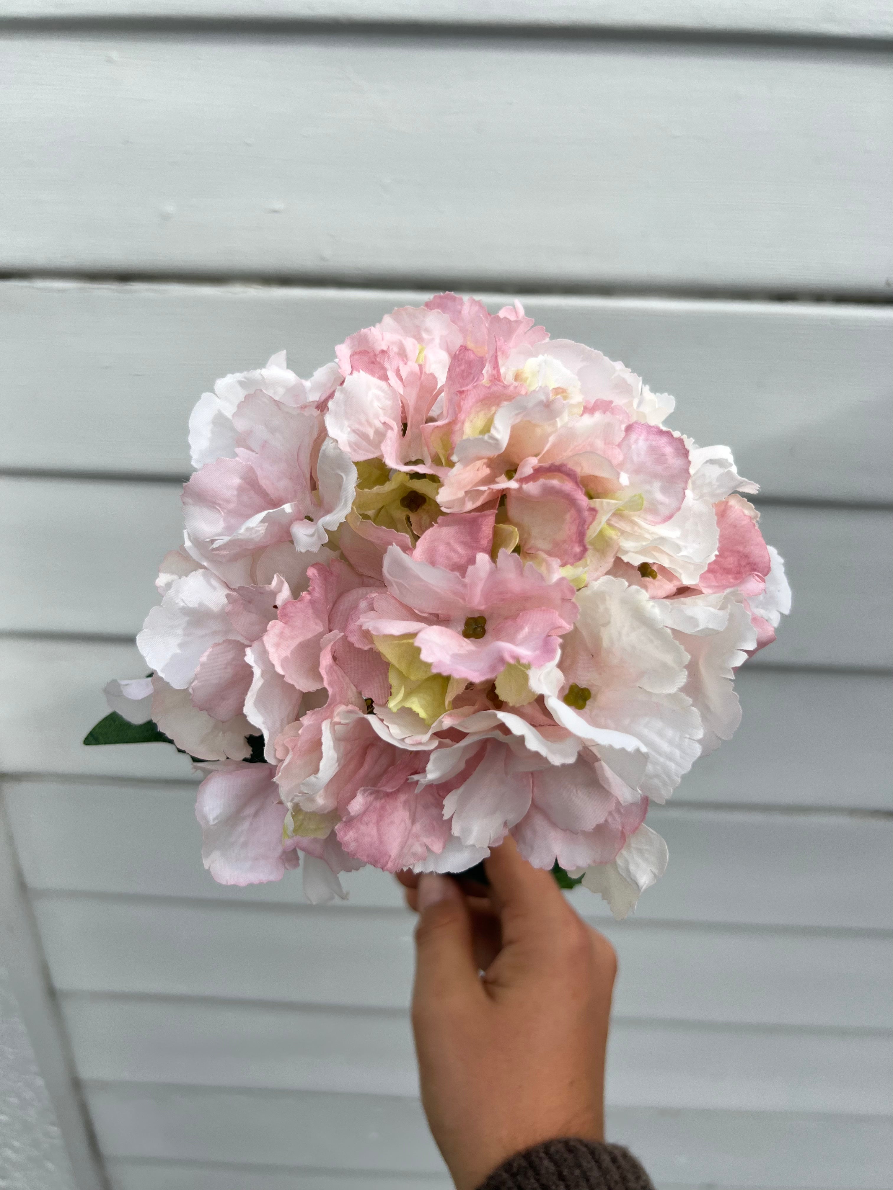 Single Stems