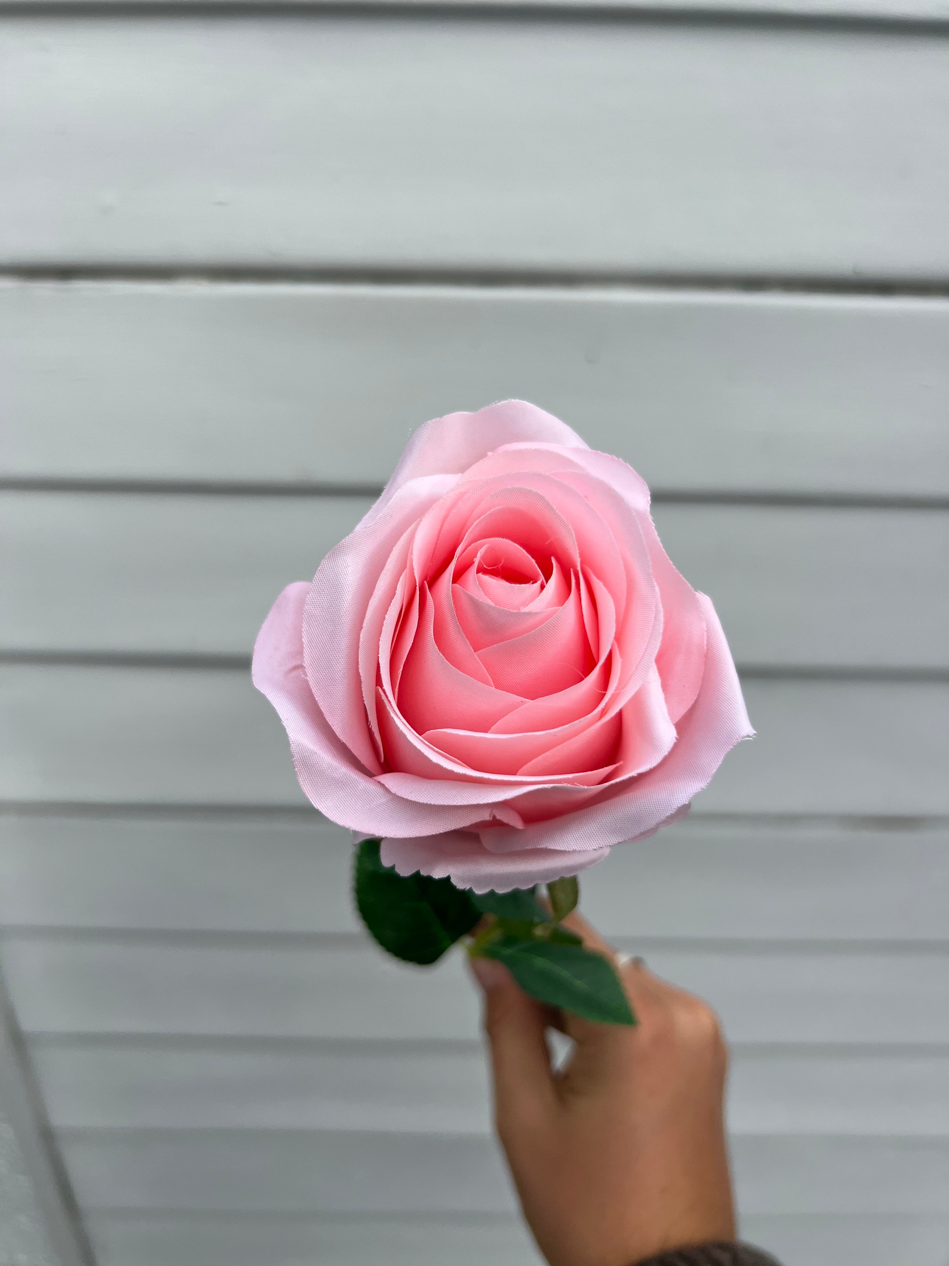 Single Stems