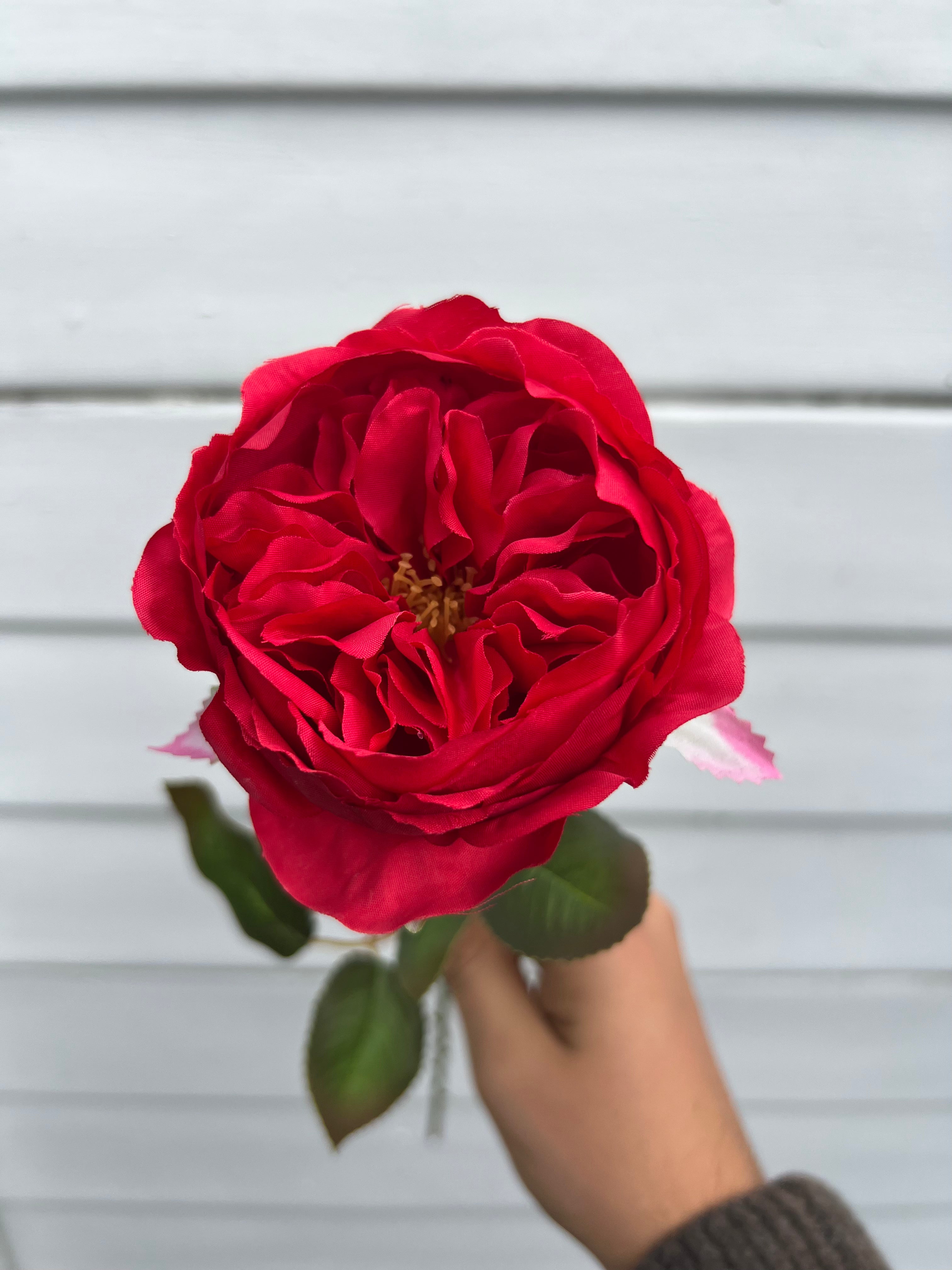 Single Stems