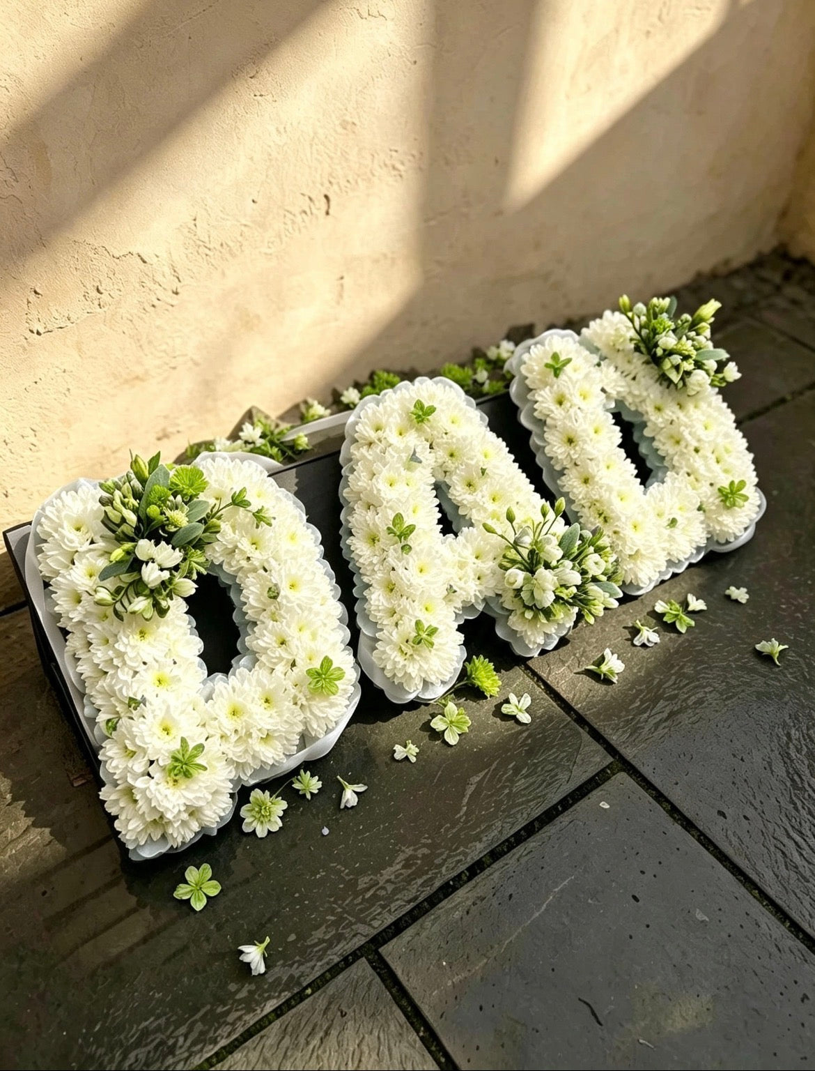 'Dad' Frame Tribute