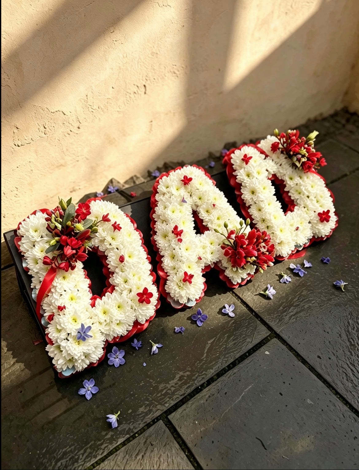 'Dad' Frame Tribute