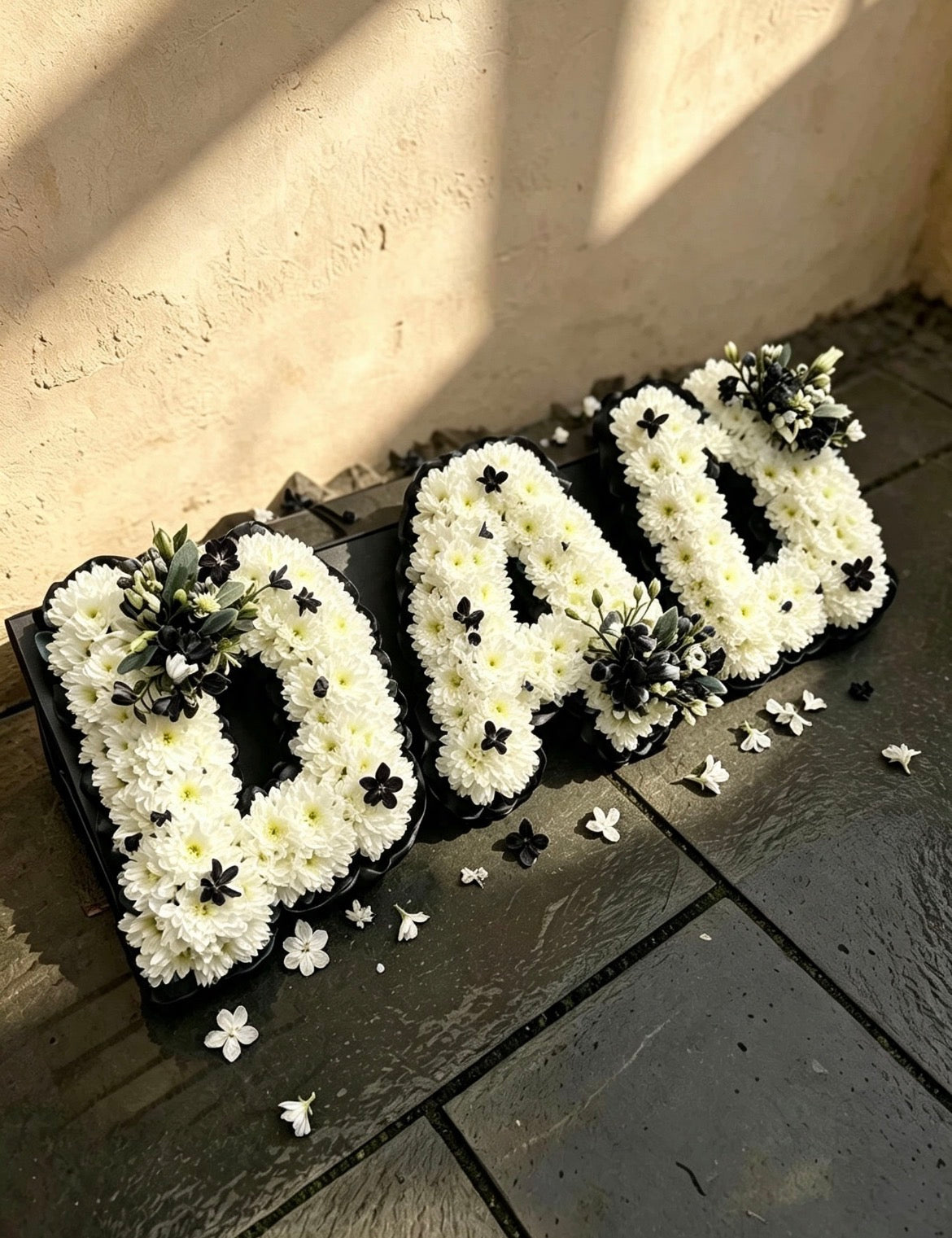 'Dad' Frame Tribute