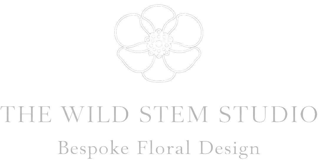 The Wild Stem Studio Logo